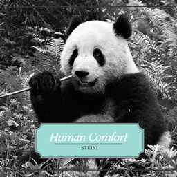 Steini (2) - Human Comfort album cover