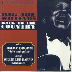 Big Joe Williams - Back To The Country 