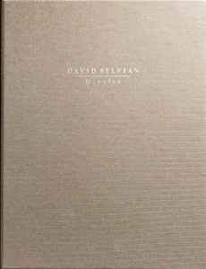 David Sylvian – Abandon / Hope (2013, Two hardcover books, one 