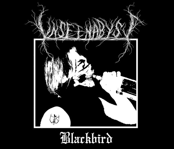 last ned album Unseen Abyss - Blackbird