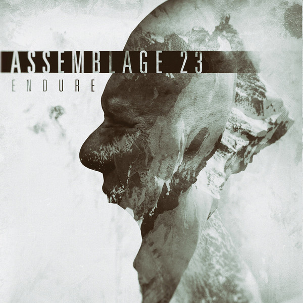 Assemblage 23 – Endure (2016, CD) - Discogs