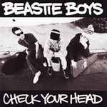 Cover of Check Your Head, 1992-04-21, Vinyl
