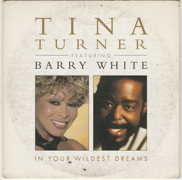 Tina Turner Featuring Barry White – In Your Wildest Dreams (1996