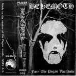 Cover of ...From The Pagan Vastlands, 1994, Cassette