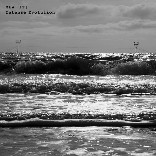 descargar álbum MLZ (IT) - Intense Evolution