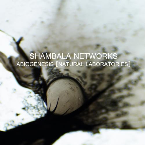last ned album Shambala Networks - Abiogenesis Natural Laboratories