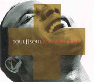 Soul II Soul - Pleasure Dome album cover