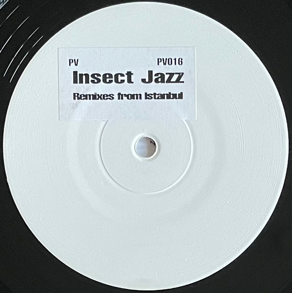 descargar álbum Insect Jazz - Remixes From Istanbul