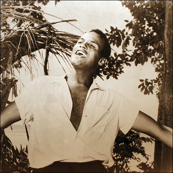 baixar álbum Harry Belafonte - Zijn Grootste Successen