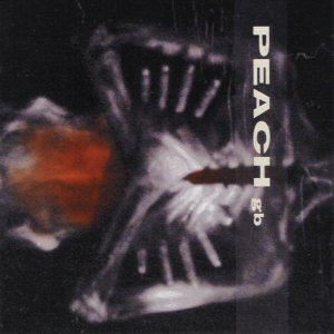 Peach GB – Giving Birth To A Stone (2002, CD) - Discogs