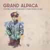 Grand Alpaca - Staying Quiet Is An Easy Young Thing To Do