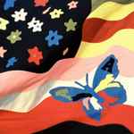 The Avalanches – Wildflower (2016, 180 gram, Vinyl) - Discogs