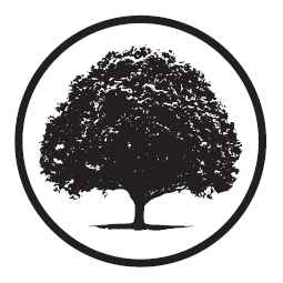 black tree logo quiz