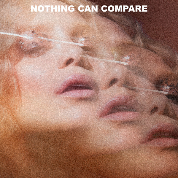 lataa albumi Agnes - Nothing Can Compare