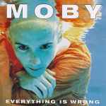 Cover of Everything Is Wrong, 1995-03-13, Vinyl