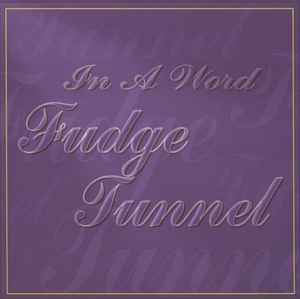 Fudge Tunnel - In A Word album cover