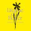 Eiko Ishibashi, Jim O'Rourke - Lifetime Of A Flower