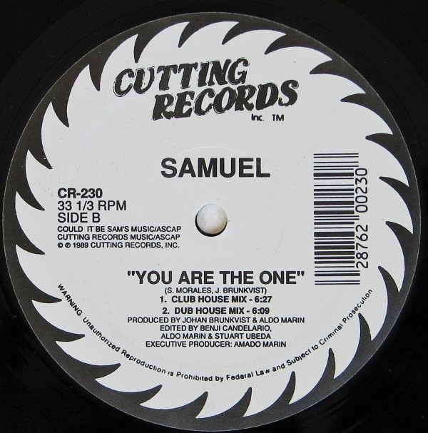 ladda ner album Samuel - You Are The One