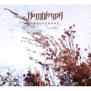 Hamhleypa - Созерцание album cover