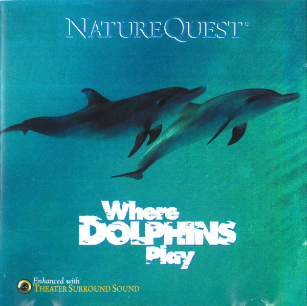 dolphins play