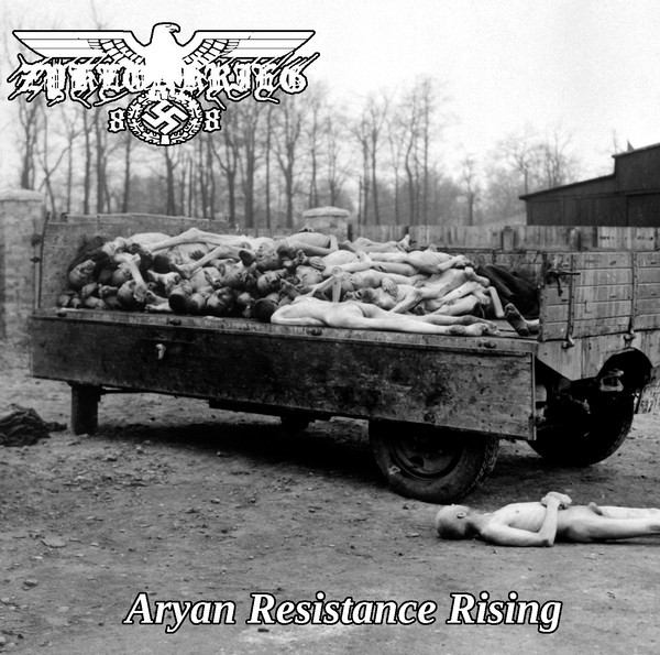 descargar álbum Zyklonkrieg88 - Aryan Resistance Rising