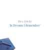 Rico Friebe - In Dreams I Remember