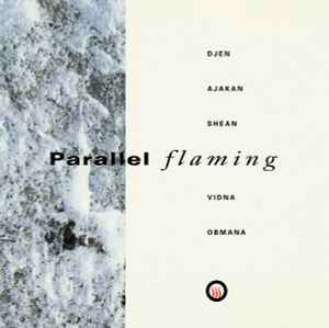 Vidna Obmana - Parallel Flaming
