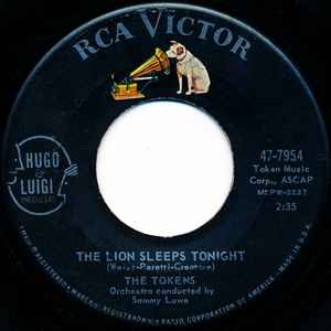 The Lion Sleeps Tonight - The Tokens