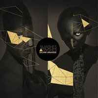 Skunk Anansie - Smashes & Trashes album cover