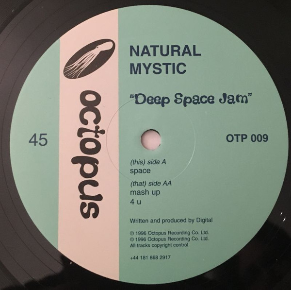 Album herunterladen Natural Mystic - Deep Space Jam