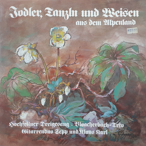 télécharger l'album Hochfellner Dreigesang, BloacherbachTrio, Gitarrenduo Karl - Jodler Tanzln Und Weisen Aus Dem Alpenland