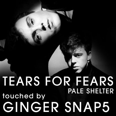 Pale Shelter (Tears for Fears) by R. Orzabal - sheet music on
