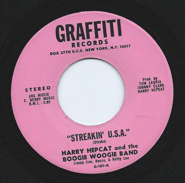 télécharger l'album Harry Hepcat & The Boogie Woogie Band - Streakin USA