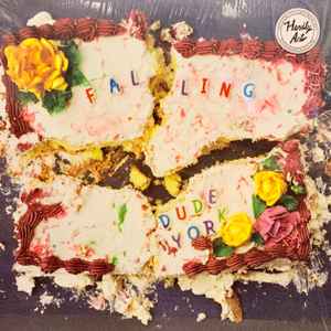 Dude York - Falling album cover
