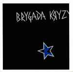 Cover of Brygada Kryzys, 2004, CD