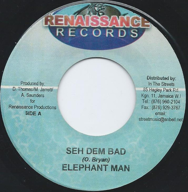 Album herunterladen Elephant Man - Seh Dem Bad
