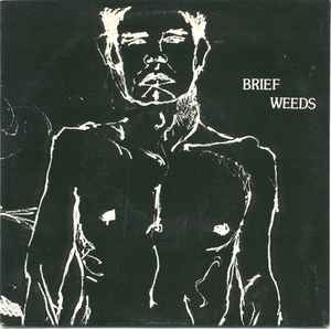 Brief Weeds - A Very Generous Portrait album cover
