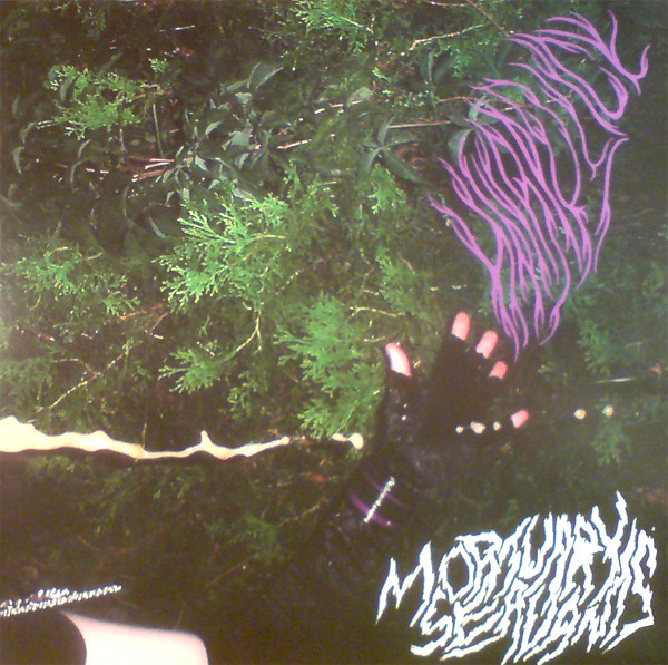 Hair Police – Mortuary Servants (2002, Vinyl) - Discogs
