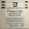 Praise Cats - Shined On Me