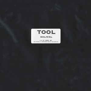 tool salival album cover