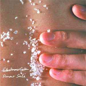 Electronicat - Amour Salé album cover