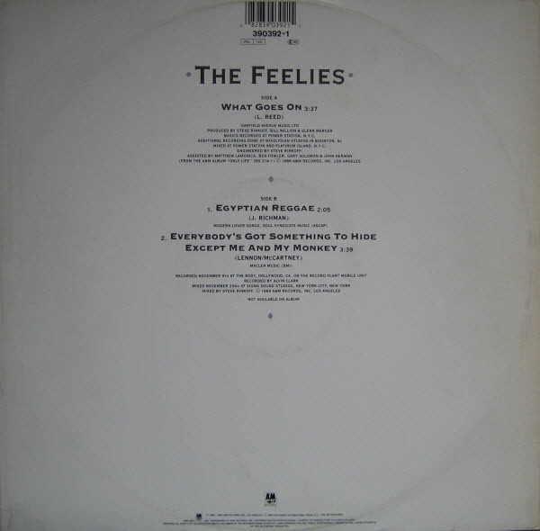 baixar álbum The Feelies - What Goes On