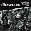 The Crawlies - Crawling Back To You