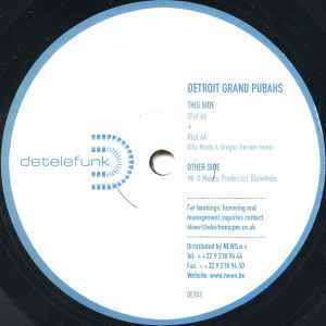 Portada de album Detroit Grand Pubahs - Riot 66