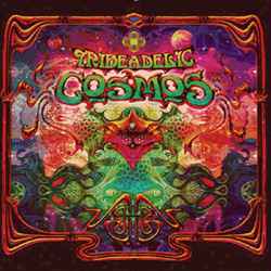 Обложка альбома Cosmos от Various