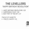The Levellers - Happy Birthday Revolution