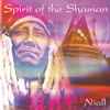 Niall (3) - Spirit of the Shaman