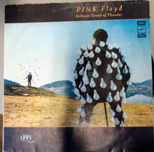 Disco Vinile Delicate Sound of Thunder [2 LP] - Pink Floyd su