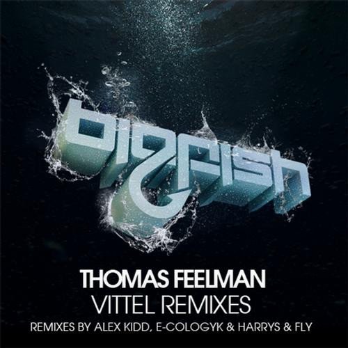 ladda ner album Thomas Feelman - Vittel Remixes