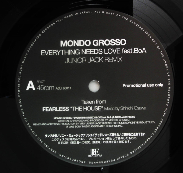 Mondo Grosso Everything Needs Loveレコード - 邦楽